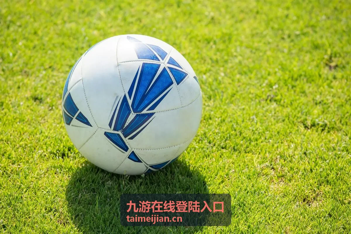 账号信息填写与错误次数提示示意